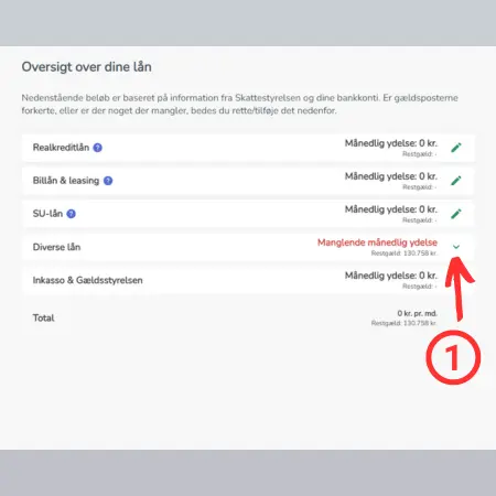 Oversigt over alle lån