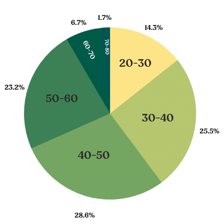 Graf over aldersgrupper med samlelån